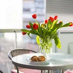 Apartments Arijana Free Private Garage And Sea View *