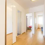 Apartments Arijana Free Private Garage And Sea View 公寓 斯普利特